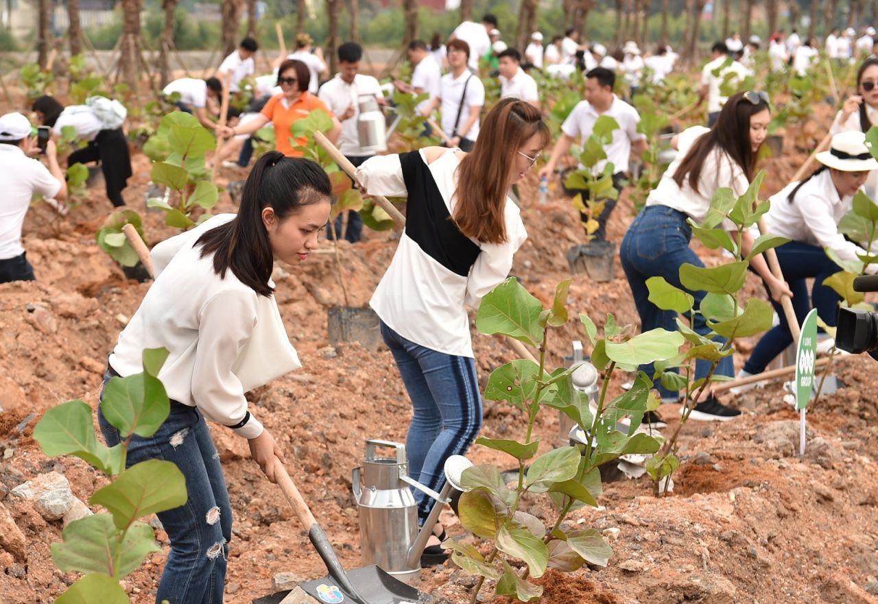 FLC Tropical City Ha Long tràn ngập sắc xanh sau sự kiện Go Green 2019